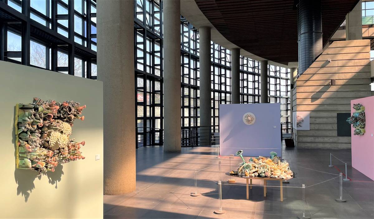 陶藝雙年展首獎Susan BEINER個展 探索自然萬物共存之道