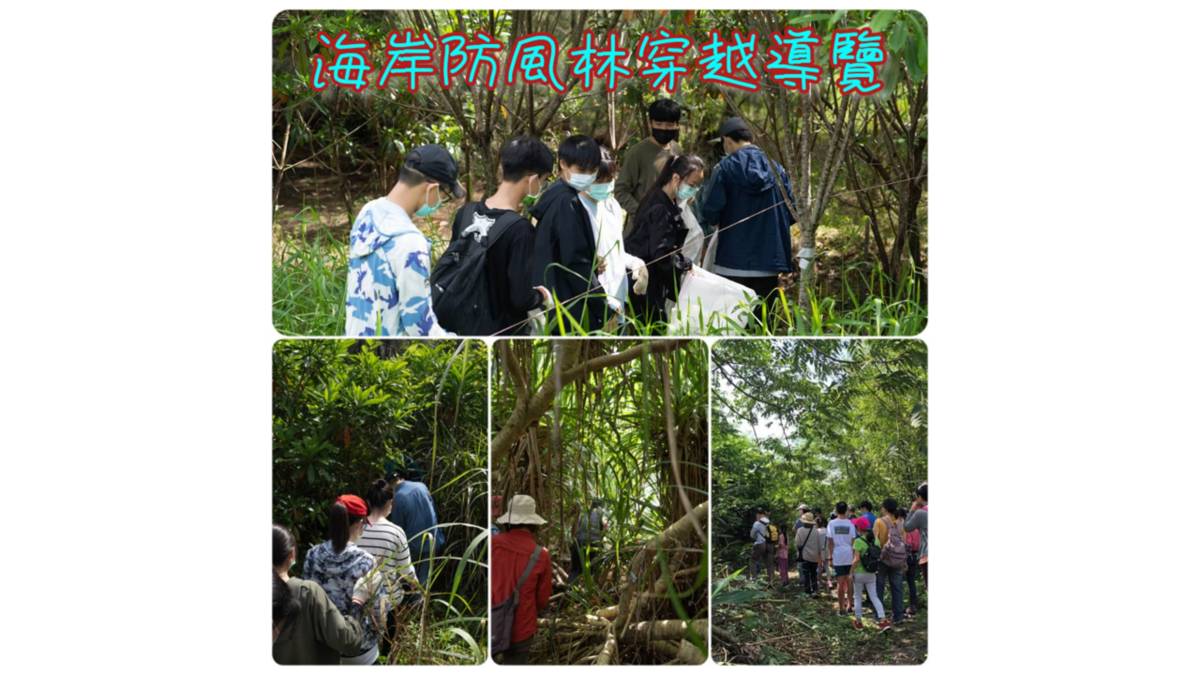 海岸防風林穿越導覽