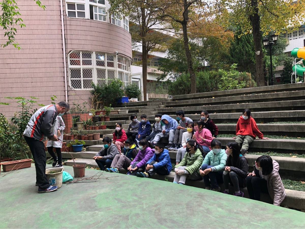 辛亥國小六年級的櫻花嫁接課程


