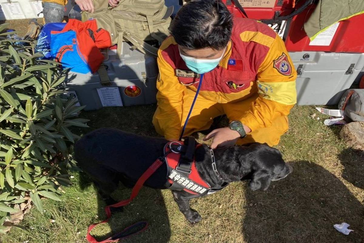 獸醫師邱裕龍每天幫搜救犬檢查身體狀況（圖:中興大學提供）