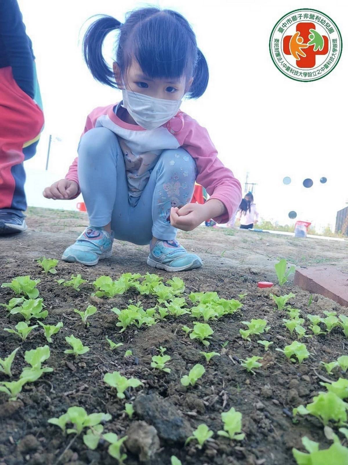 廍子非營利幼兒園「小小農夫」體驗課程