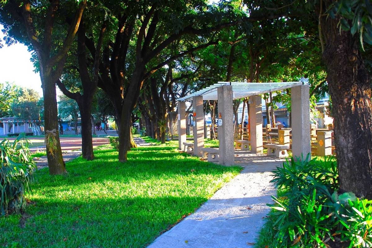 高雄市大寮區溪寮國民小學自操場跑道旁的桃花心木林下走過，描繪出一條自己「家鄉的記憶步道」