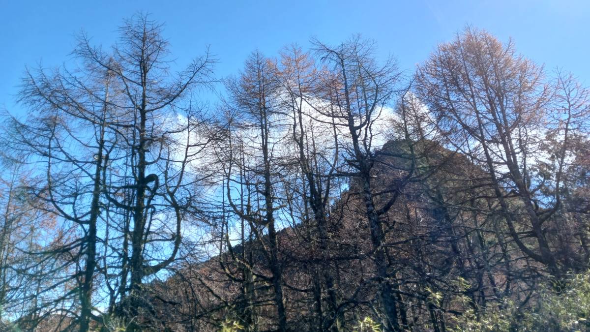 山永遠都在