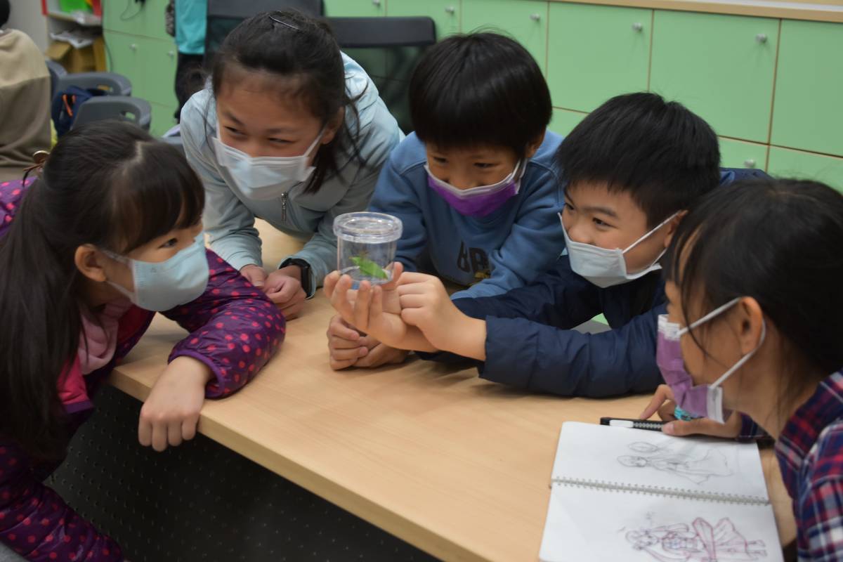 臺北市學校環境教育中心舉辦馬明潭園區昆蟲生態與觀察課程