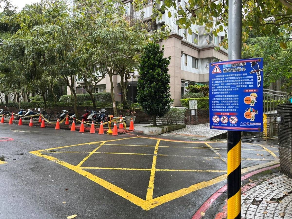 北市動保處張貼告示，提醒民眾避開臺灣藍鵲繁殖區域