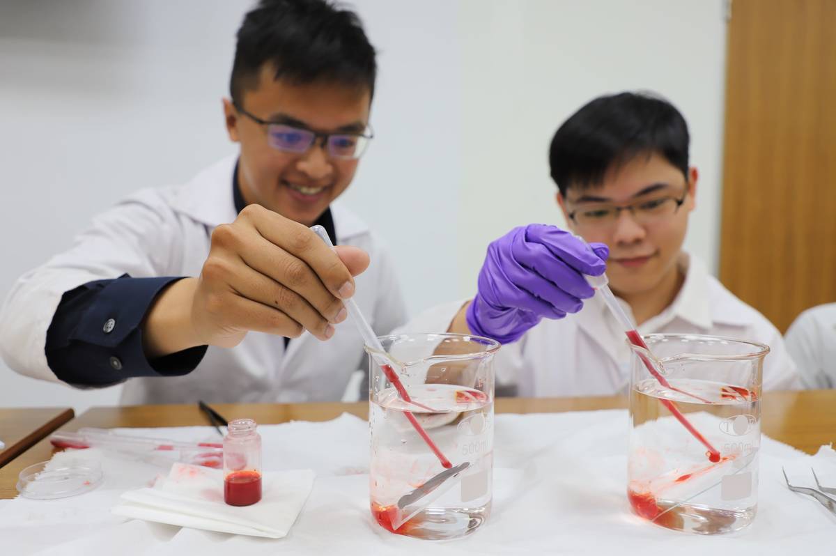 三校團隊研究成果成功刊登在屬於自然期刊(Nature)旗下專業期刊的《npj Clean Water》刊物 (臺科大提供)