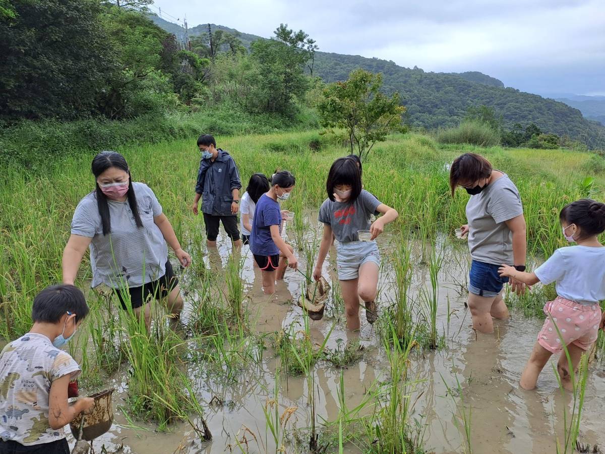 吉林水梯田挲草體驗 小朋友雙腳沾滿了田裡的泥巴仍樂在其中