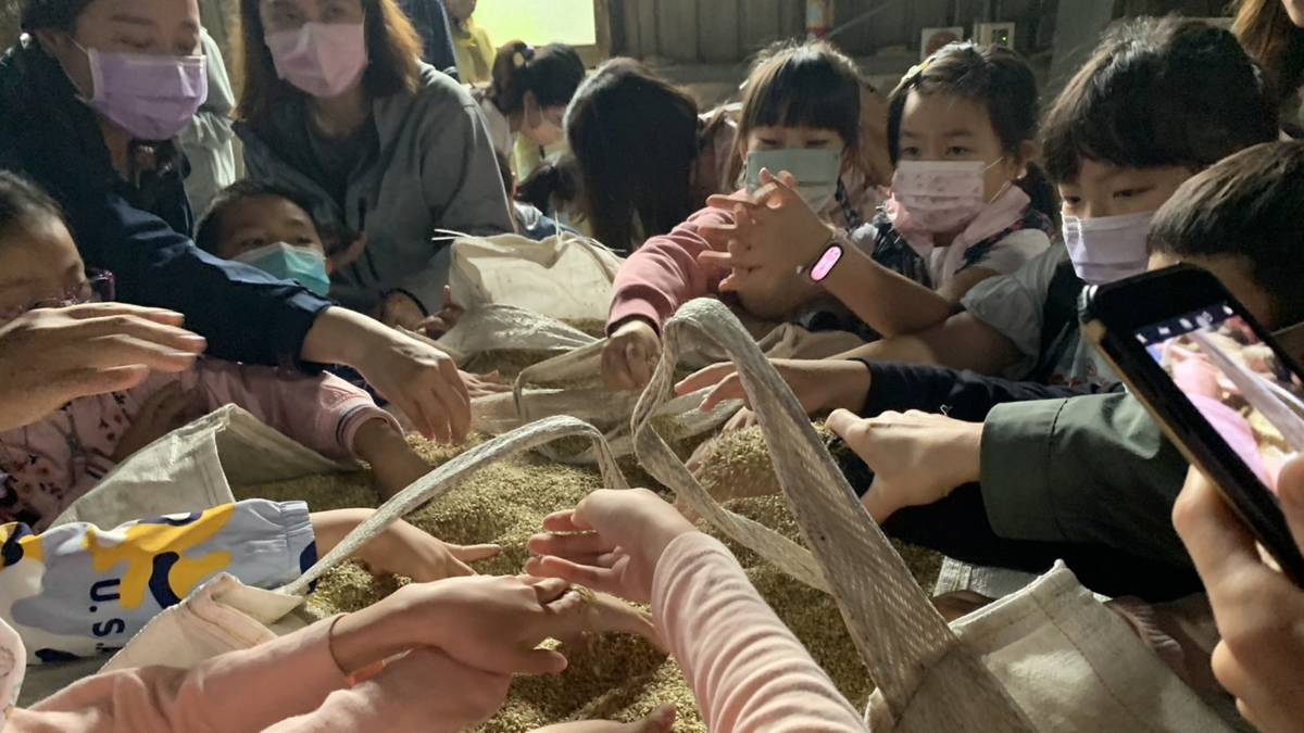 帶著孩子到鄉下學做菜-大人小孩都想感受稻米摸起來的手感