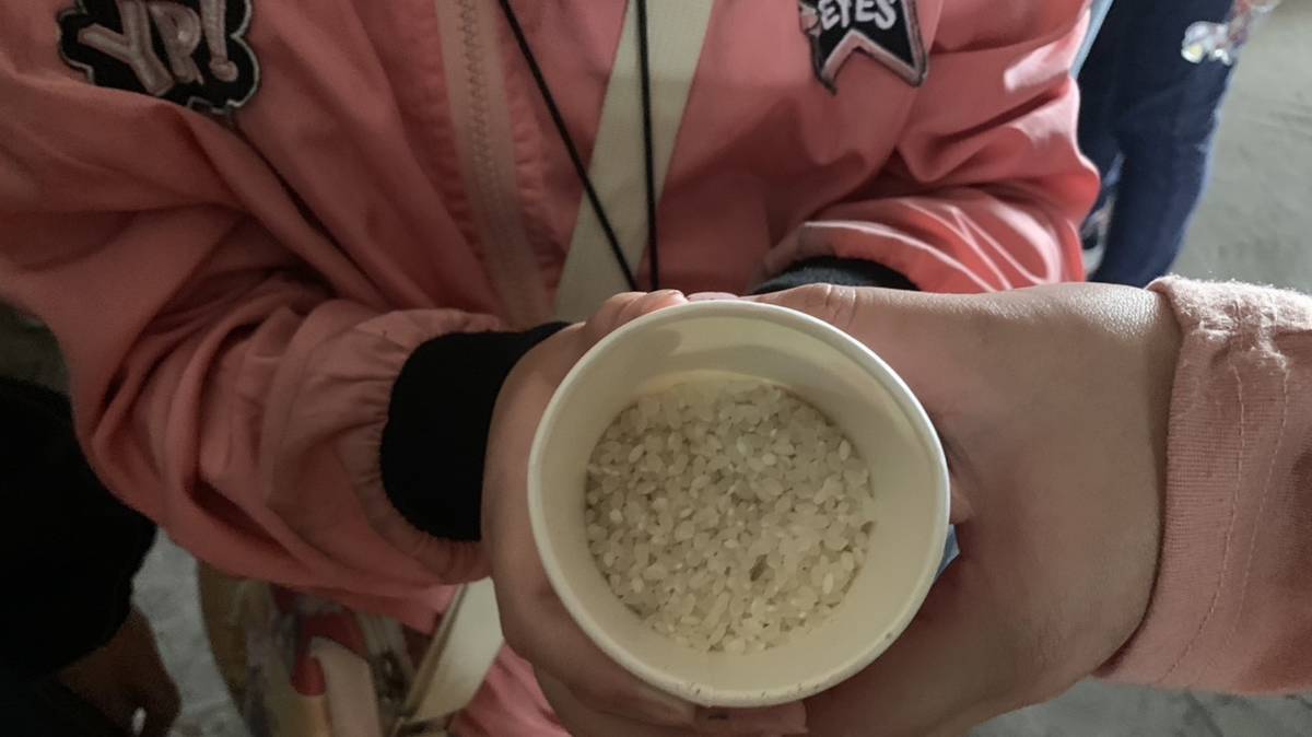 帶著孩子到鄉下學做菜-你看,我碾的白米