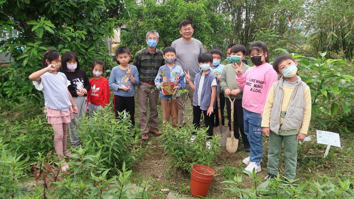 南埔國小周一課後時間，低年級小朋友學著認識客家民俗植物