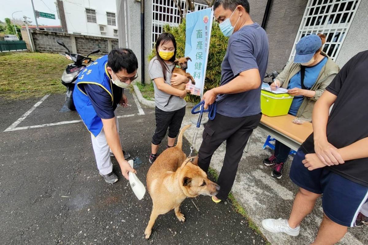 國立臺東專科學校畜產保科辦理「動保宣導社區服務」，與臺東縣動物防疫所合作，免費替犬隻施打狂犬病疫苗。