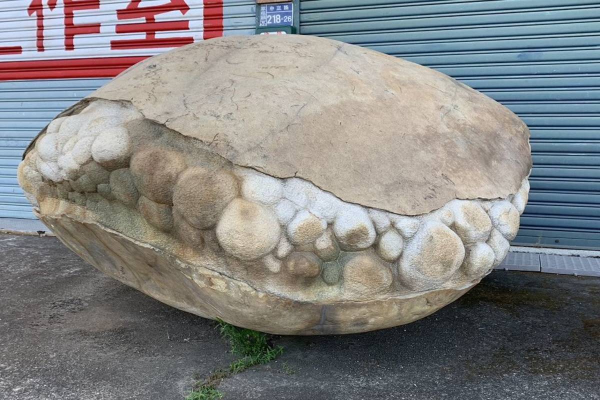 喜愛與大自然對話的許慶福老師發現，這塊石頭就像是蛤仔，蘊藏著豐富的生命力，取名「蘊」。