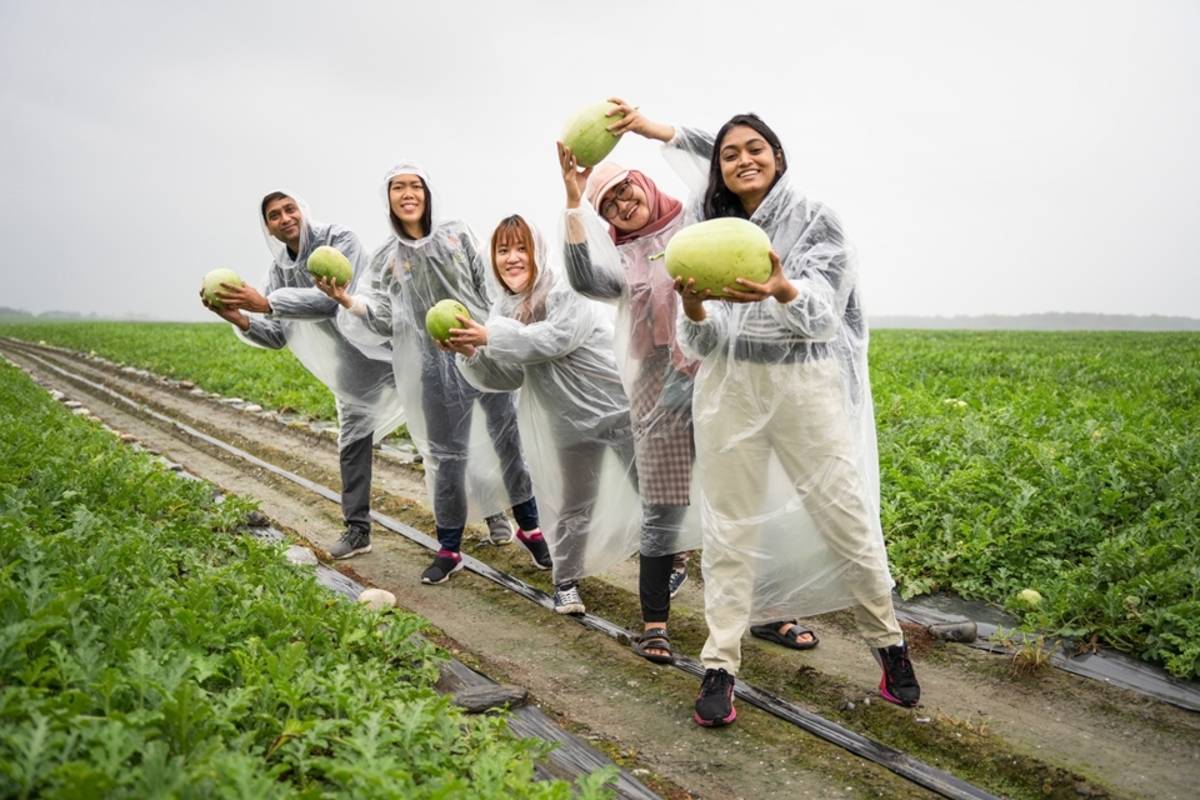 外籍生參與「瓜甜禮夏」食農教育活動