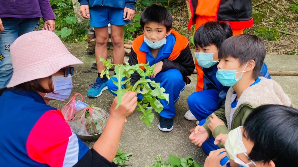 野菜在地課程