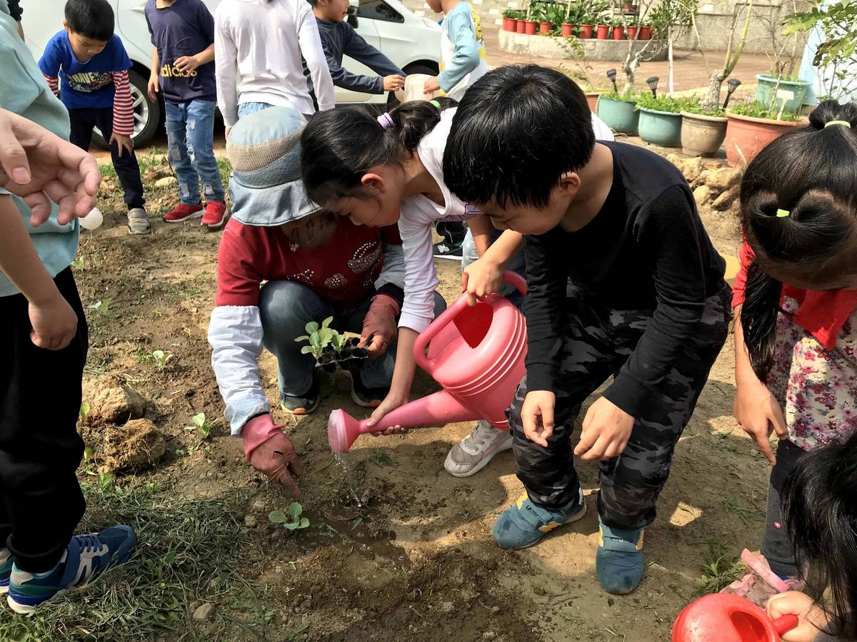 苗栗縣南河國小「夏季環境」食農課程-校園蔬菜種植