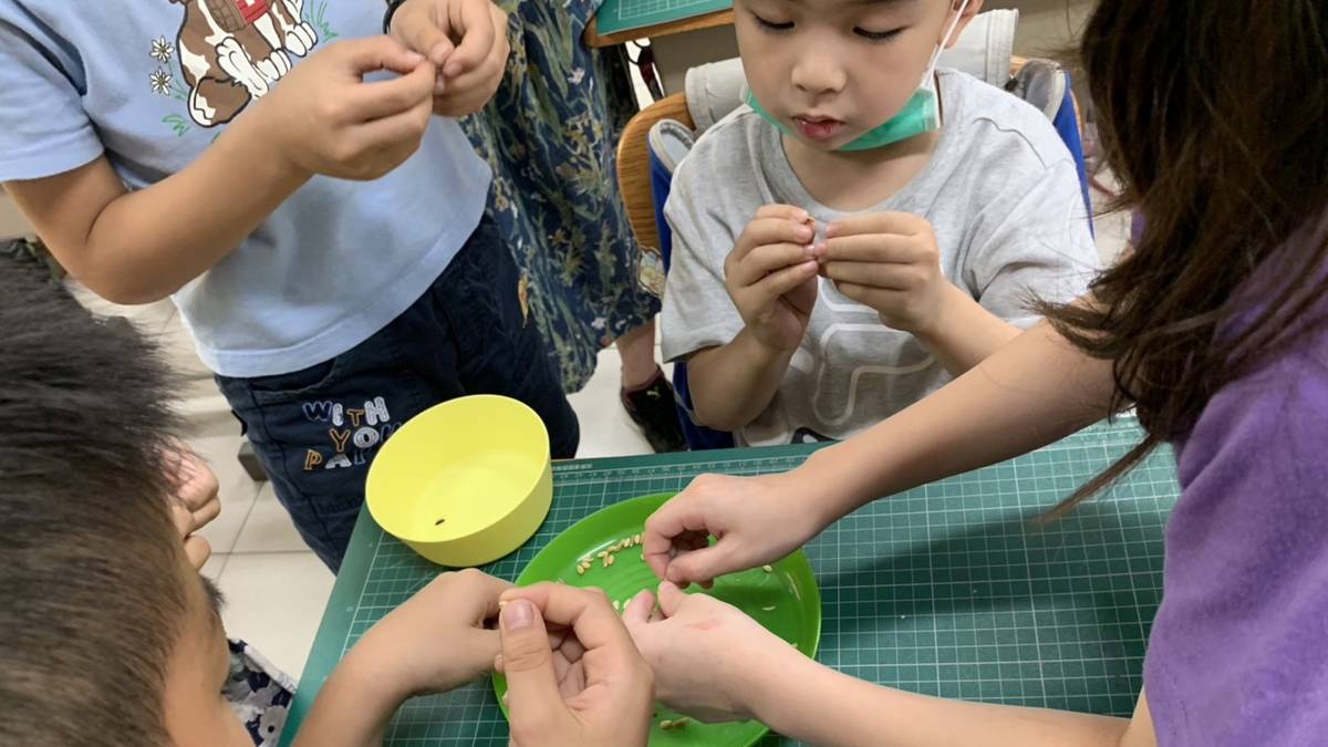 信義國小一起來煮飯吧-同學認真剝稻殼的神情
