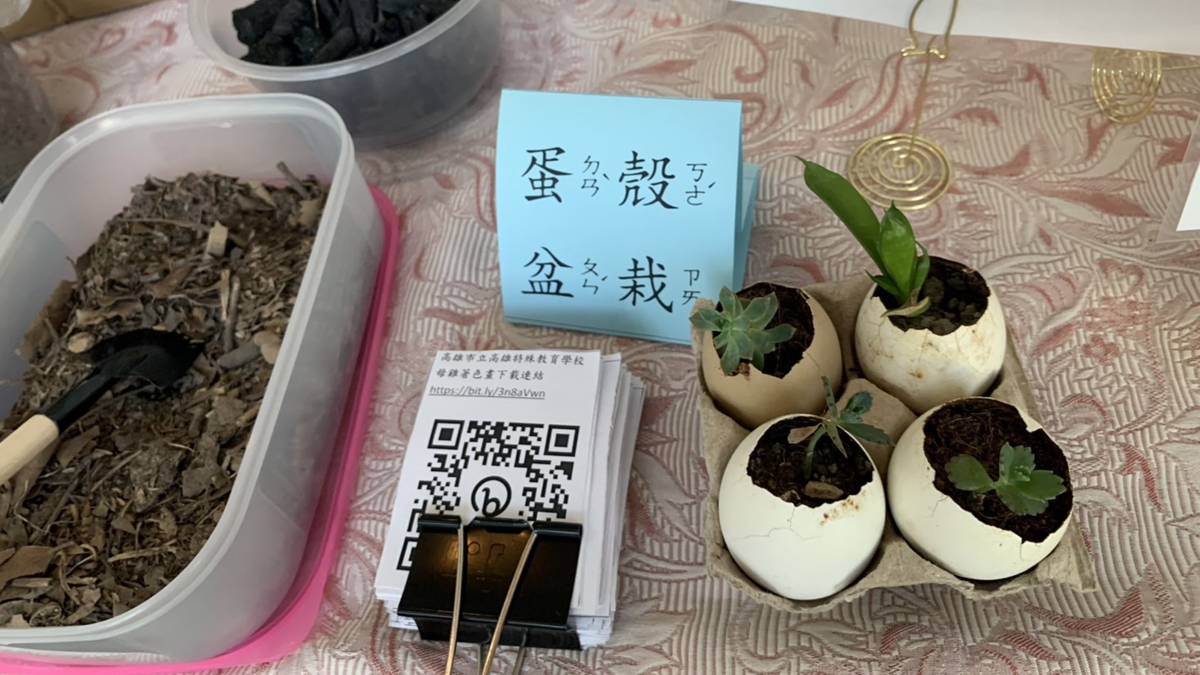 高雄食農有本事-蛋殼盆栽