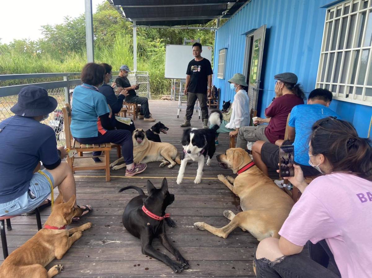 愛犬行為矯正諮詢工作坊