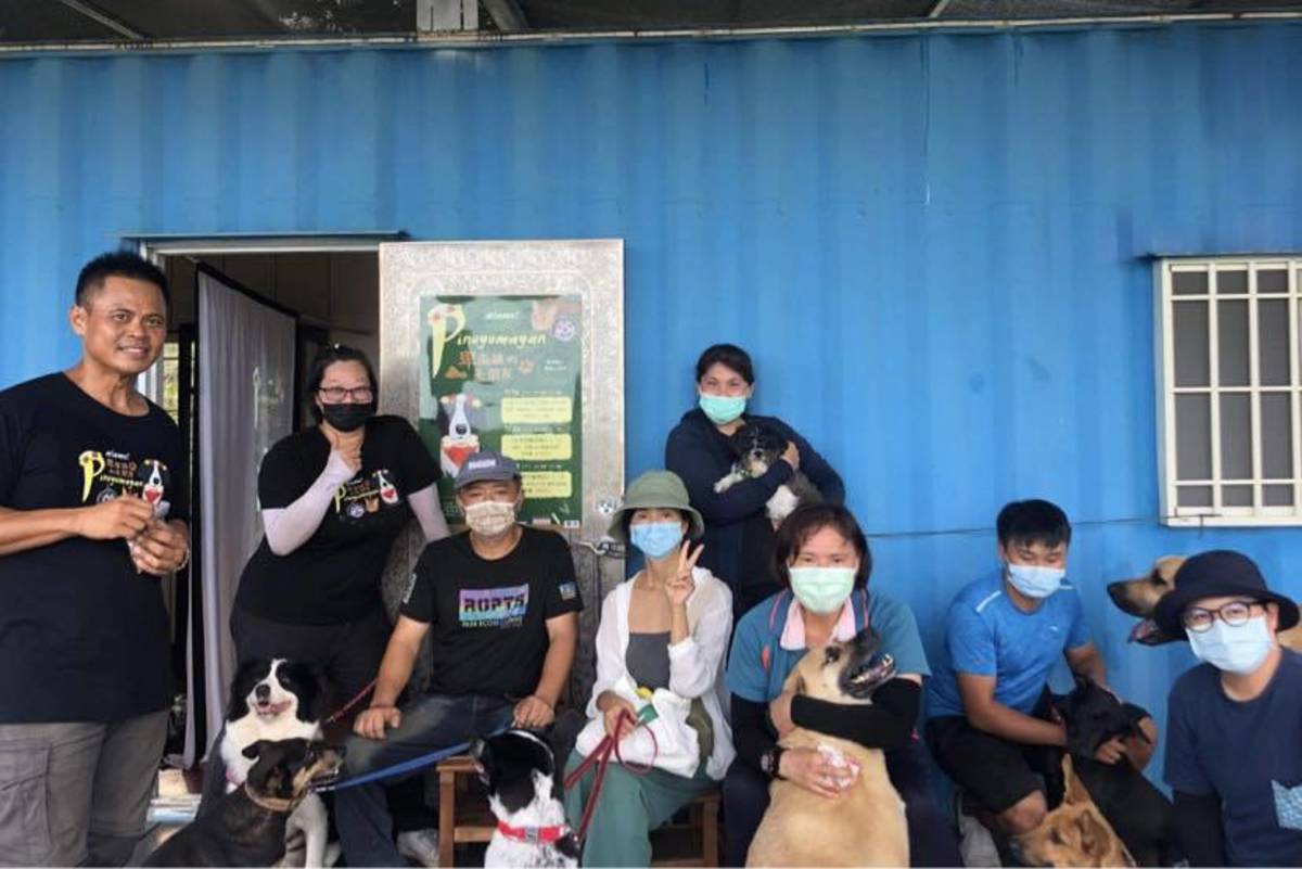 愛犬行為矯正諮詢工作坊