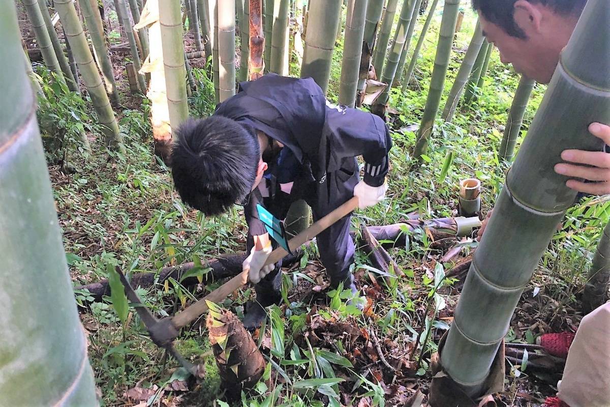 靜修學子體驗農事，上山採筍