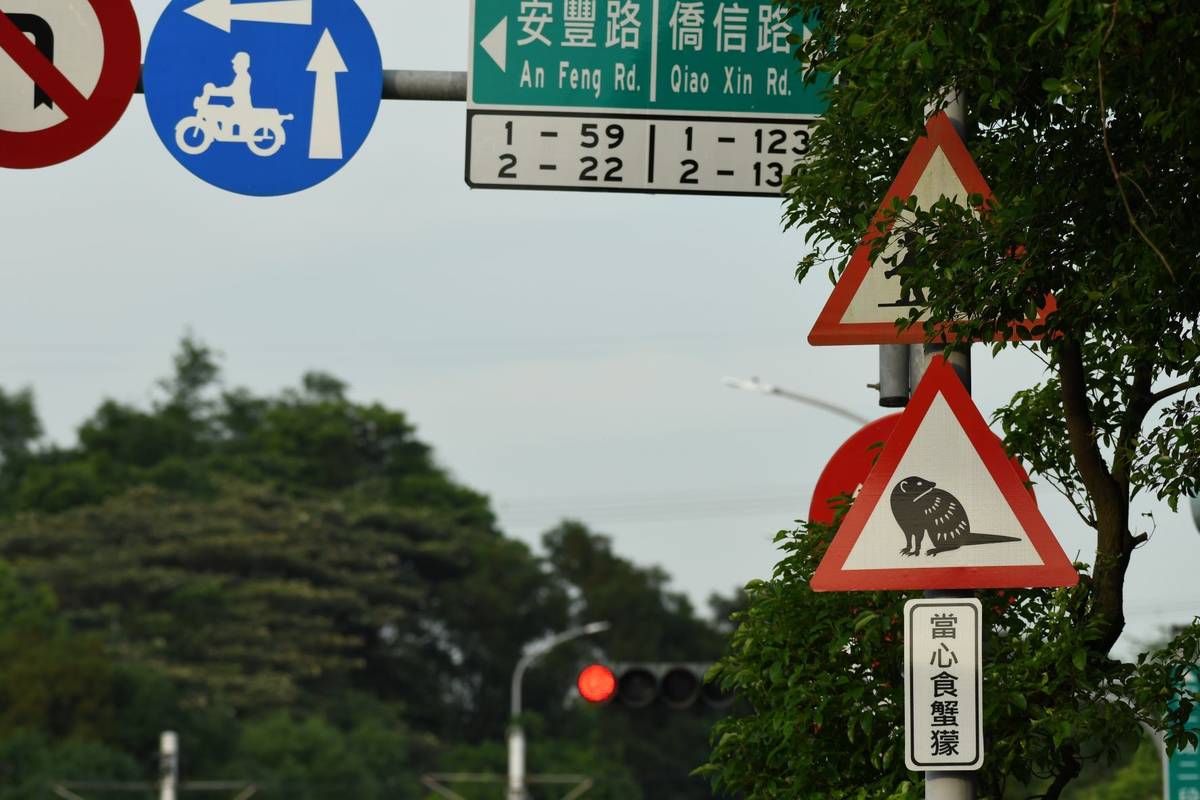 新北巿政府於校門前方設置警告注意標語 提醒車輛經過減速慢行