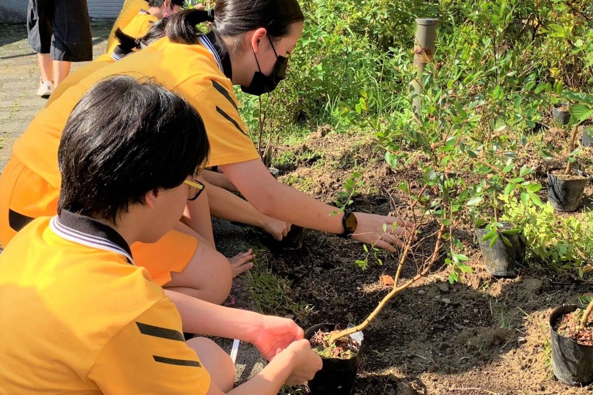 學生挖樹洞、用手壓土，親近自然