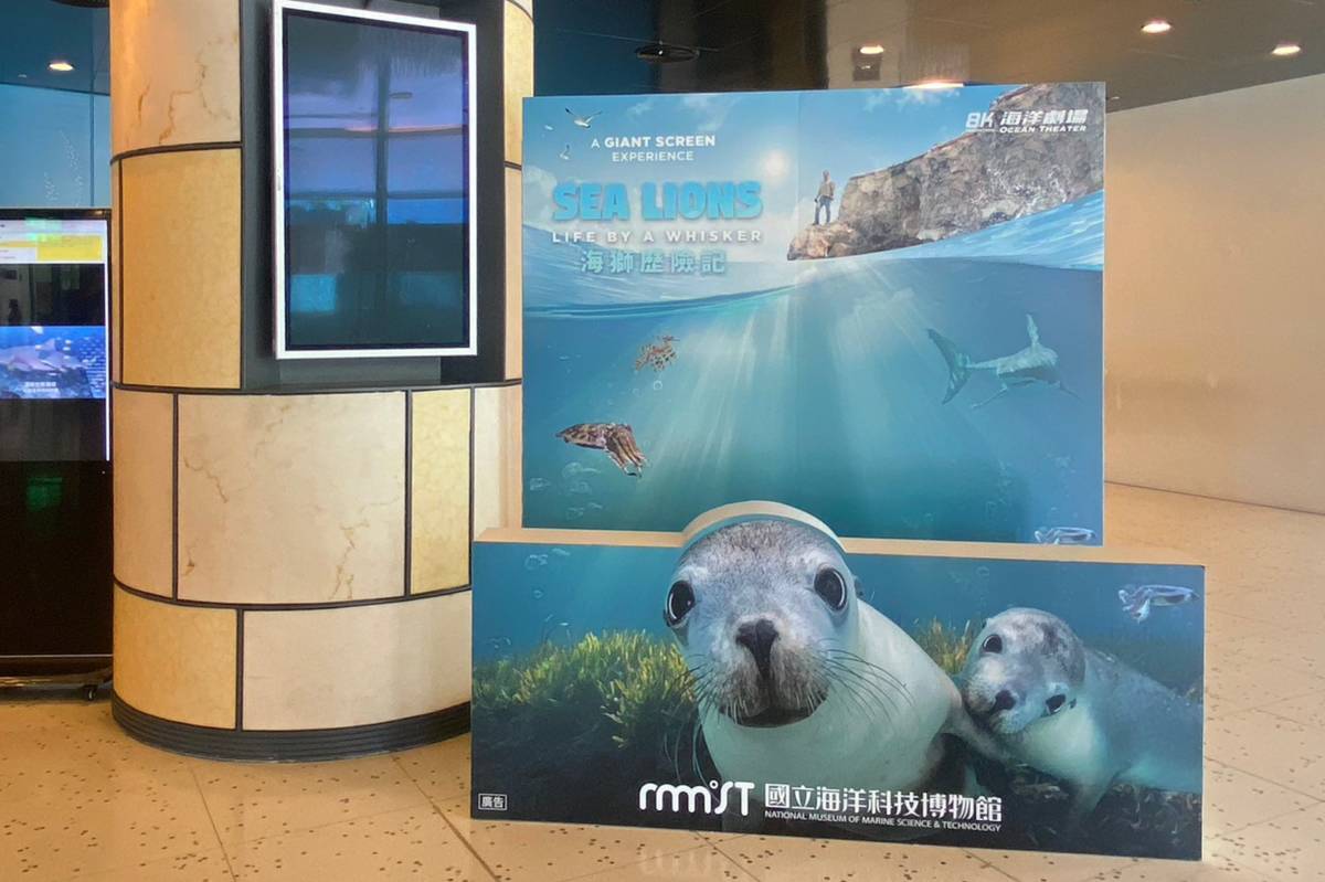 海科館新片海獅歷險記」上映，端午連假更應景推出看新片送粽子香包活動。