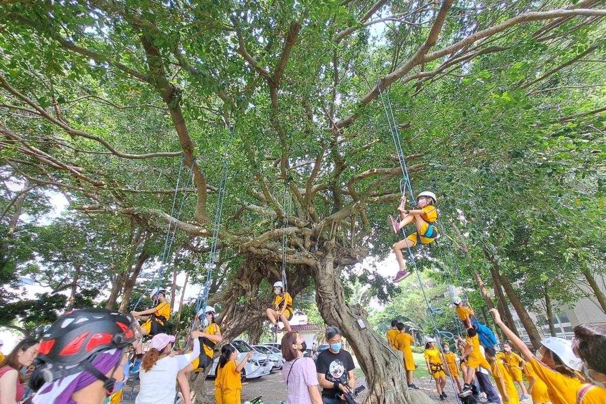 中市大秀國小學童合作學攀樹

