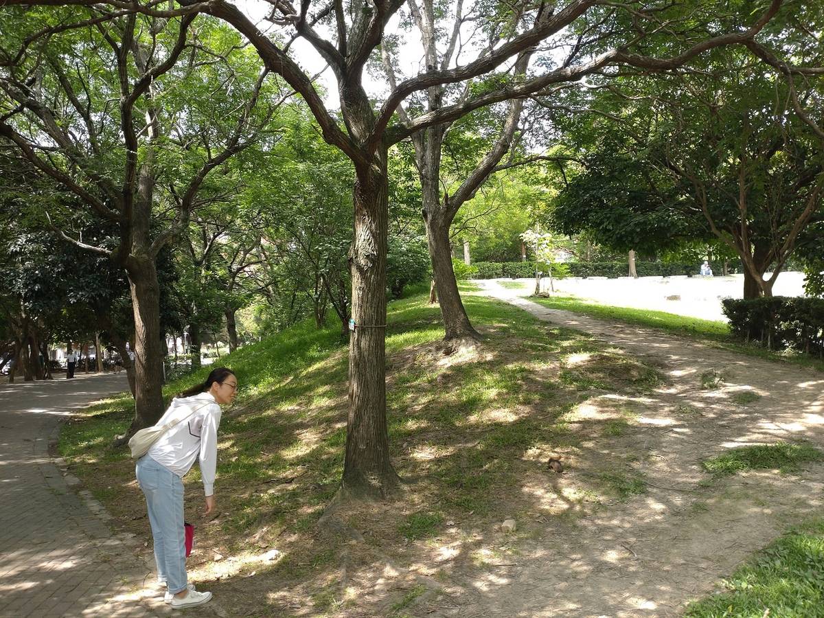 中和公園與松鼠相遇
