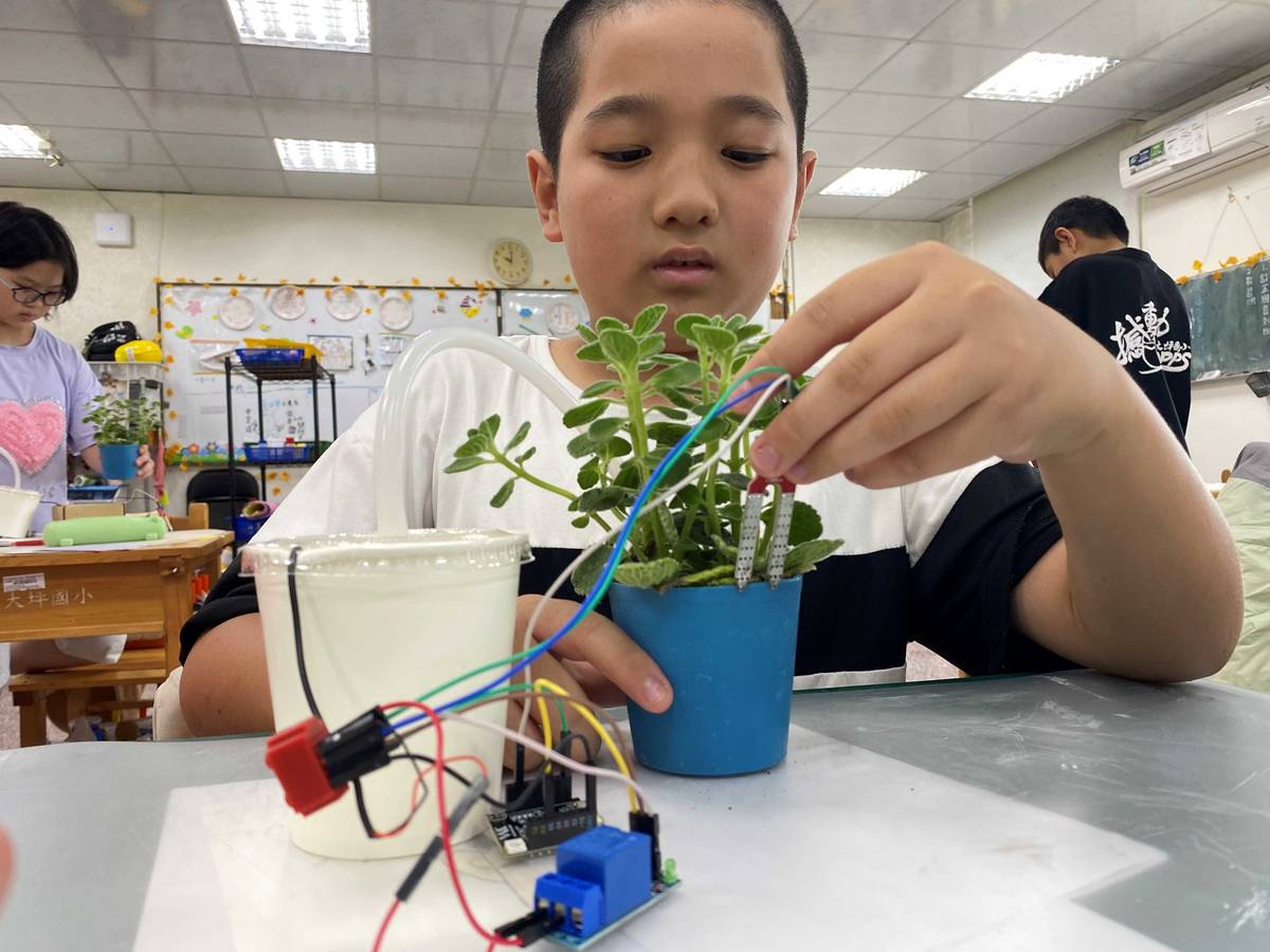 大坪國小-插入智慧盆栽的土壤溼度感測器