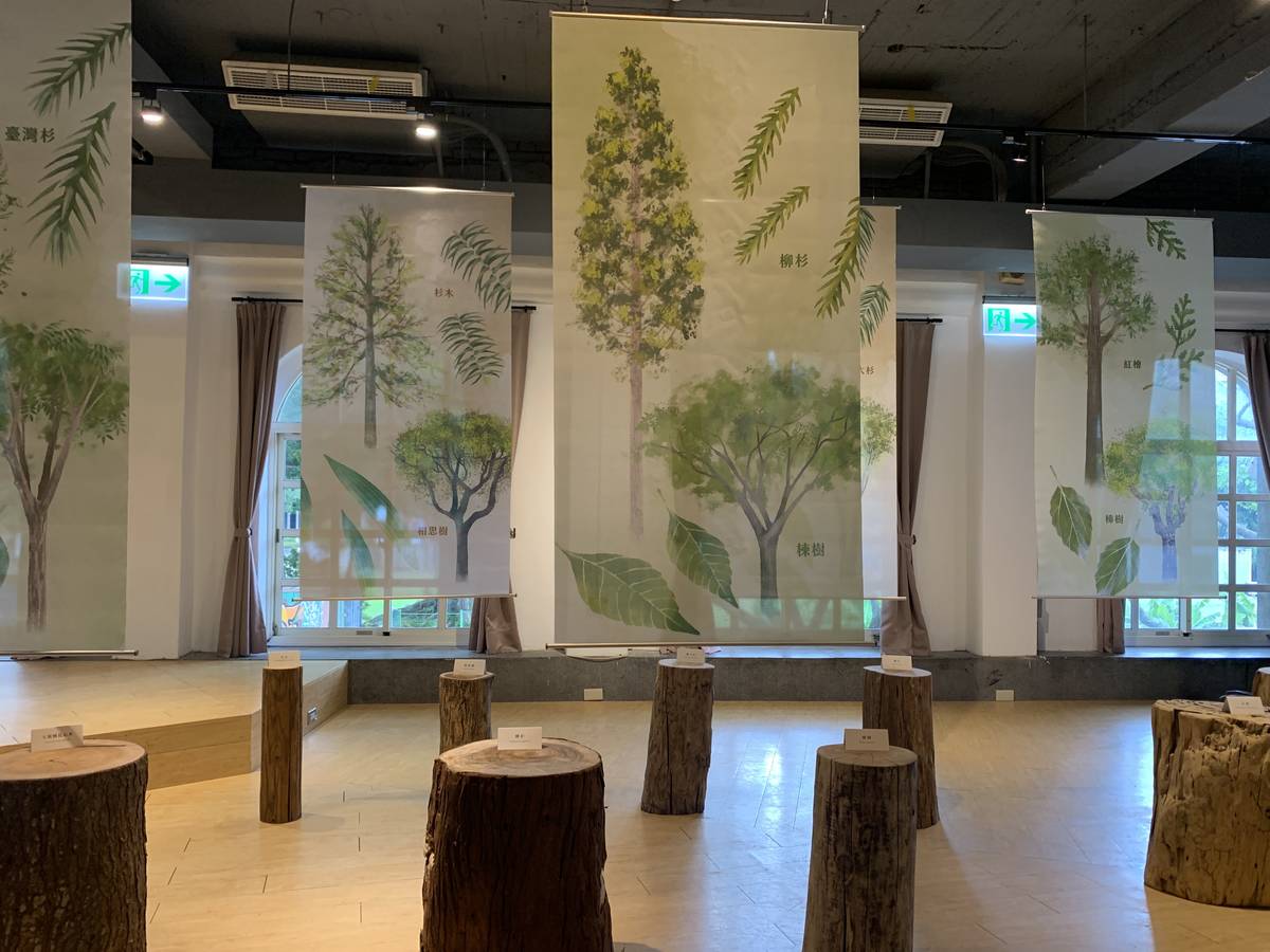 林務局推國產材主題創作繪本 《外公家的小木貓》正式出版