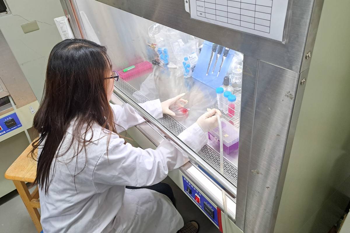 臺師大助理教授王麗婷進行研究，成功找出致癌基因。
