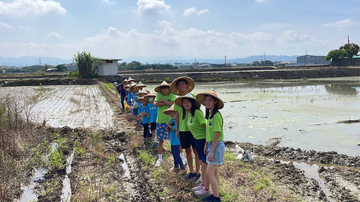 文德國小學生和海外青年一起在炎熱的天氣裡體驗插秧(圖片來源：文德國小提供)