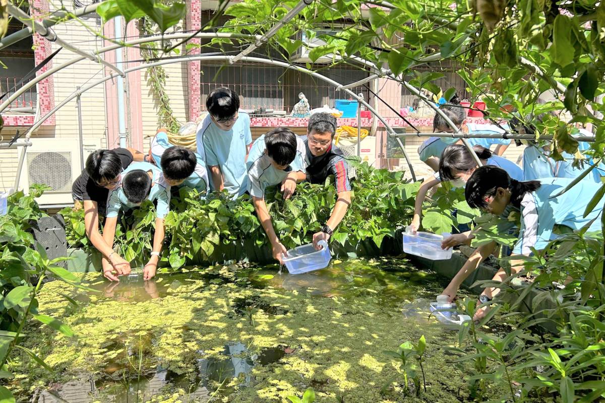 南門國中七年十二班同學參與易危原生魚種史尼氏小䰾復育放養活動