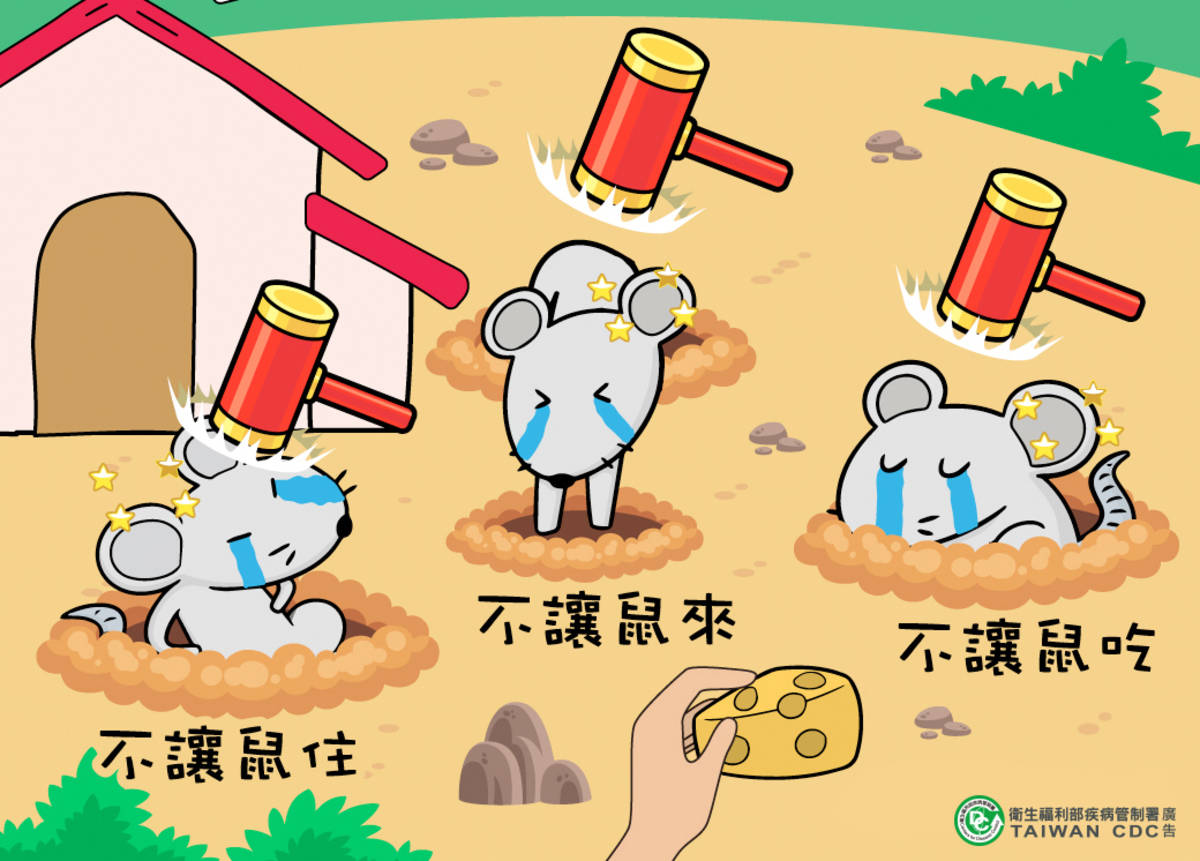 颱風後清潔防範漢他病毒  不讓鼠來不讓鼠住不讓鼠吃