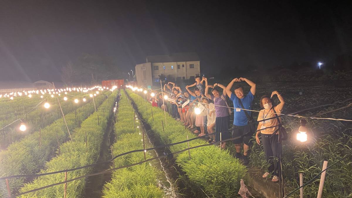 參與夜遊花鄉小旅行的遊客參觀電照花田