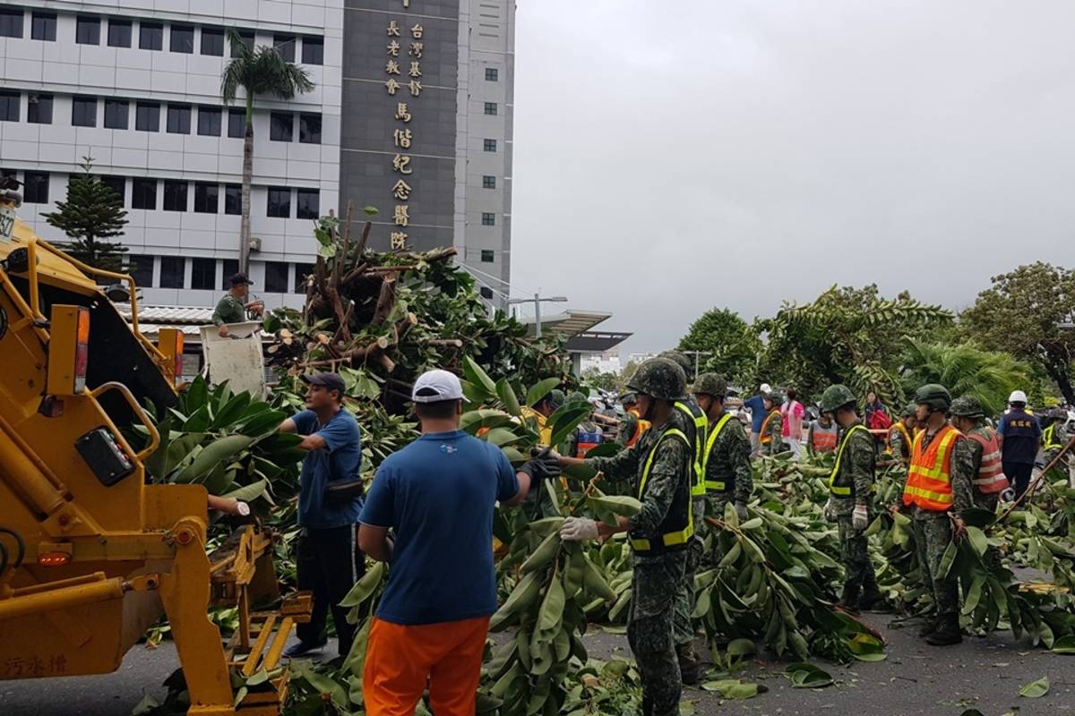 海葵颱風來襲，臺東馬偕醫院急診旁整排36年的橡膠樹應聲倒地，所幸清潔隊與國軍動員人力協助清除，醫療服務未受影響。