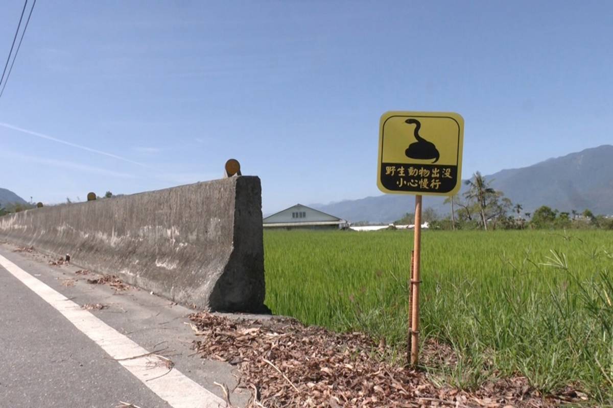 動保團體向池上鄉公所爭取設立友善動物告示牌。