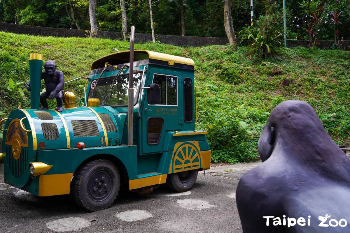頑皮的金剛猩猩寶寶爬上復古版的遊客列車車頭