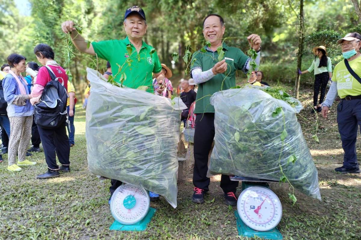 經過一個上午的努力，總共清除了150公斤的小花蔓澤蘭。