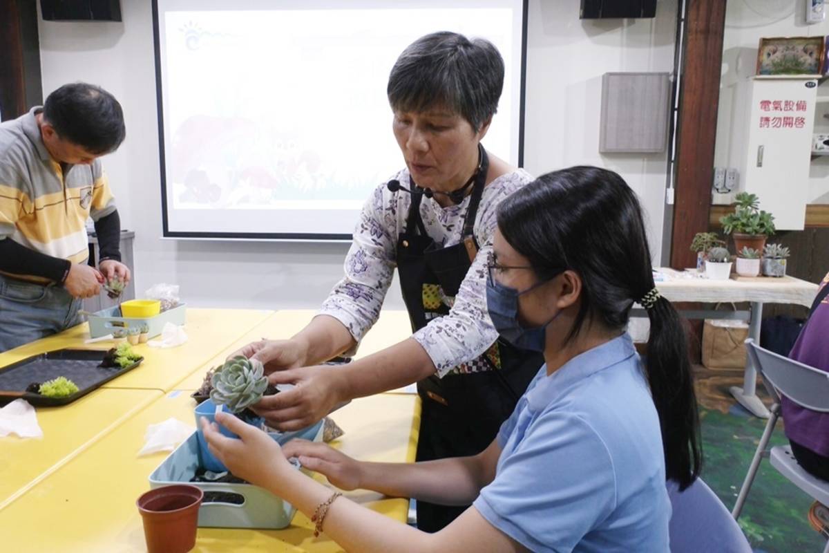 臺東縣成功鎮農會輔導美山社區「七平方園藝棧」，推出多肉植物療癒遊程。
