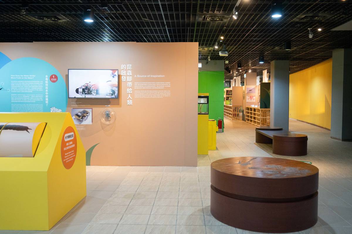 特展現場準備了昆蟲標本、放大鏡和顯微鏡等工具讓大家觀察比較