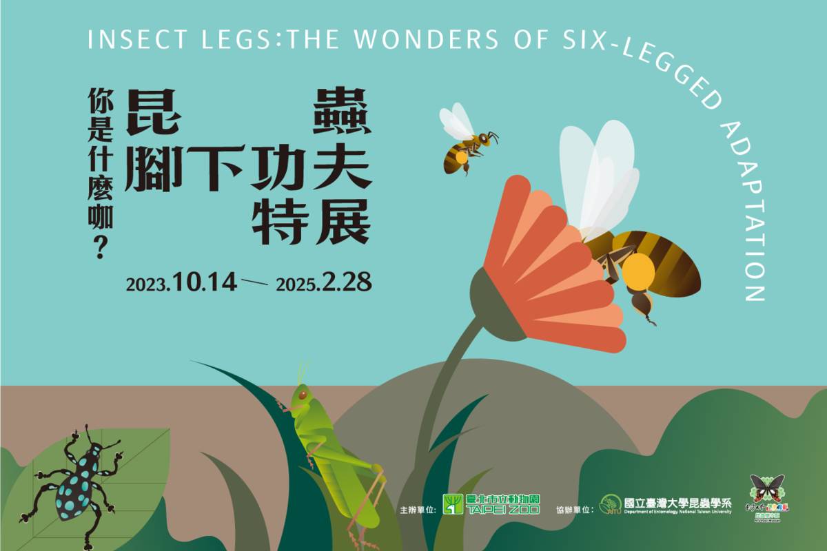 臺北市立動物園10/14起在昆蟲館推出「你是什麼咖？昆蟲腳下功夫特展」