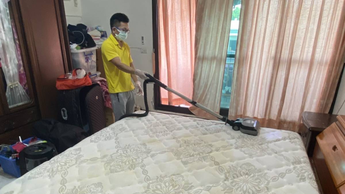 床墊中的塵螨如果長年不清潔很容易引發過敏(圖片來源：金魚提供)