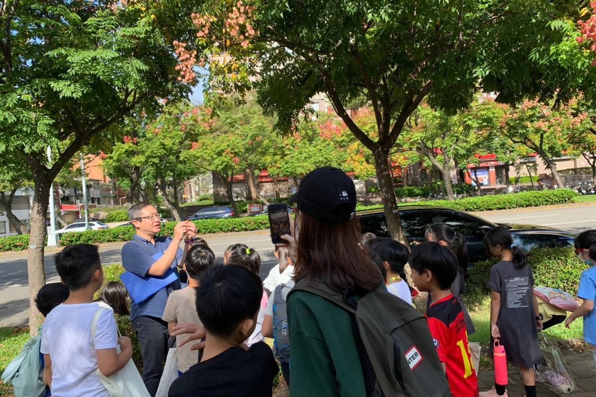三玉國小三年級學生走出校外，欣賞忠誠路上壯闊的欒樹大道
