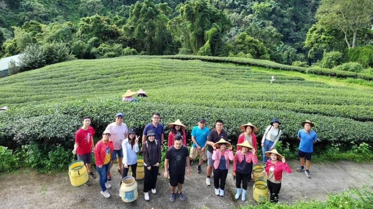 南投竹山與鹿谷是國內烏龍茶有名產地(圖片來源：太極美地提供)