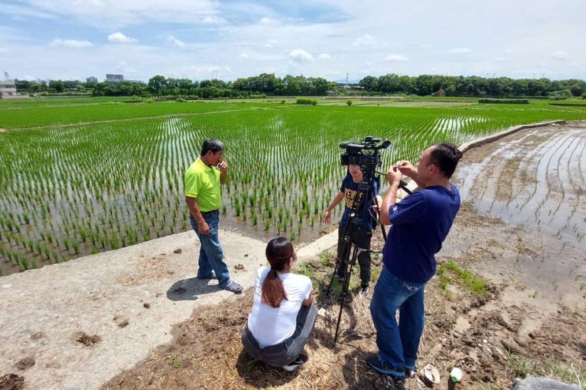 土地學院-烏日茄芷彈團隊專訪烏日區冠軍米稻農，記錄稻田生活的記憶。