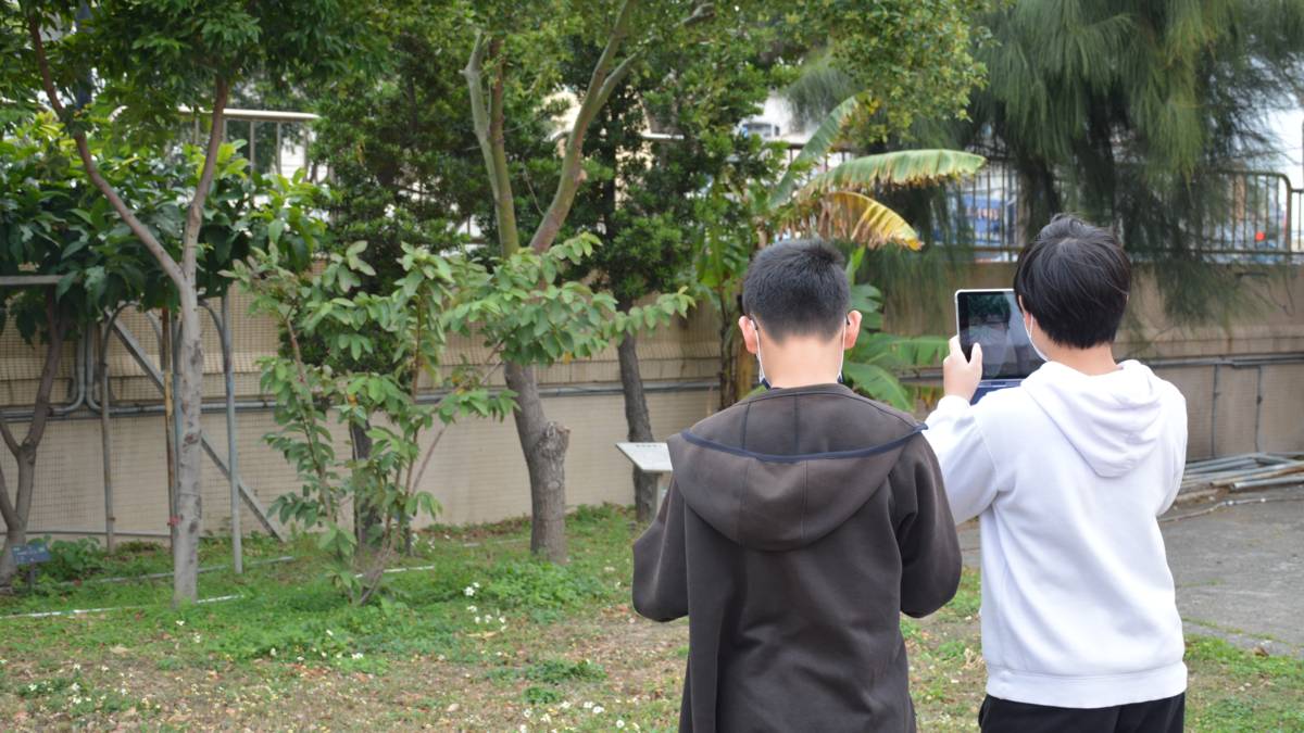 學生以智慧鏡頭識別植物（圖源：梧棲國中）