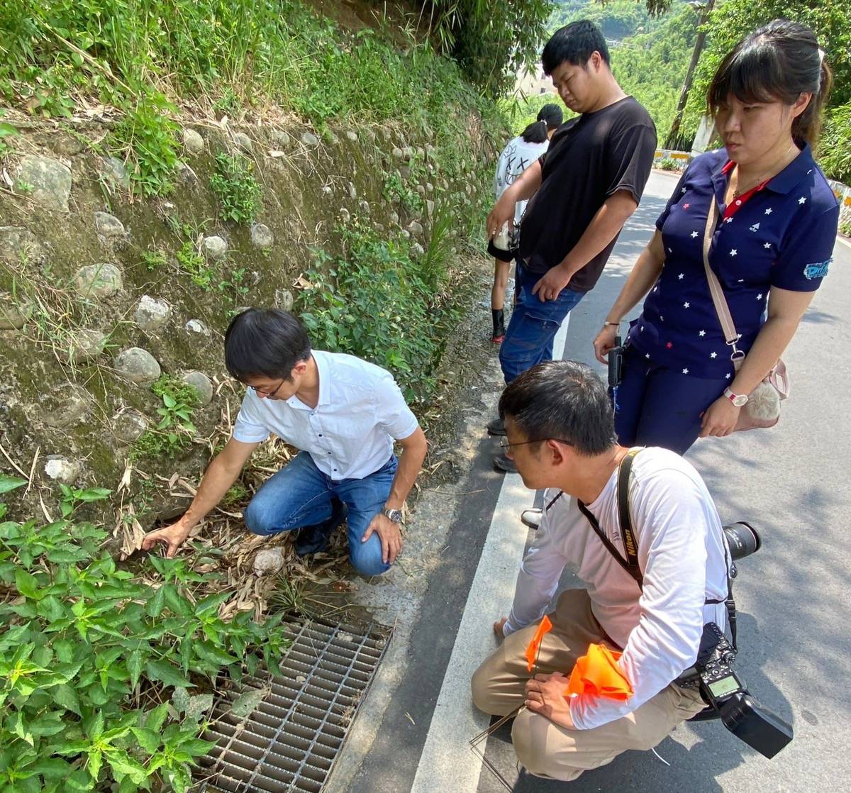 農業局於五股區中直路上進行生態調查