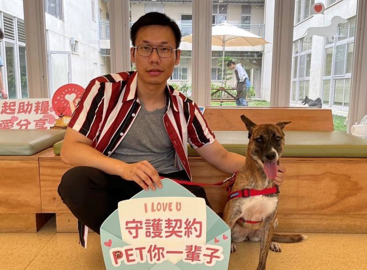 新竹市政府歡迎民眾一起幫助毛孩，給牠們一個溫暖的家 (新竹市府提供)